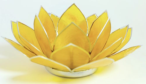 Lotus chakra-3